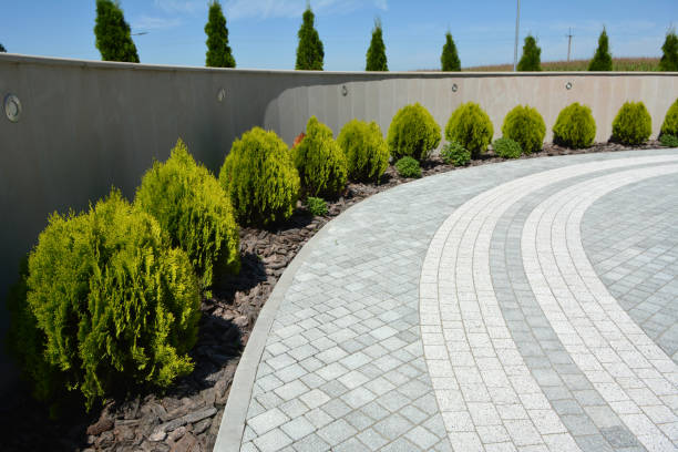 Best Driveway Repair Near Me  in Rowlett, TX